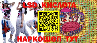 прущие грибы Краснокаменск