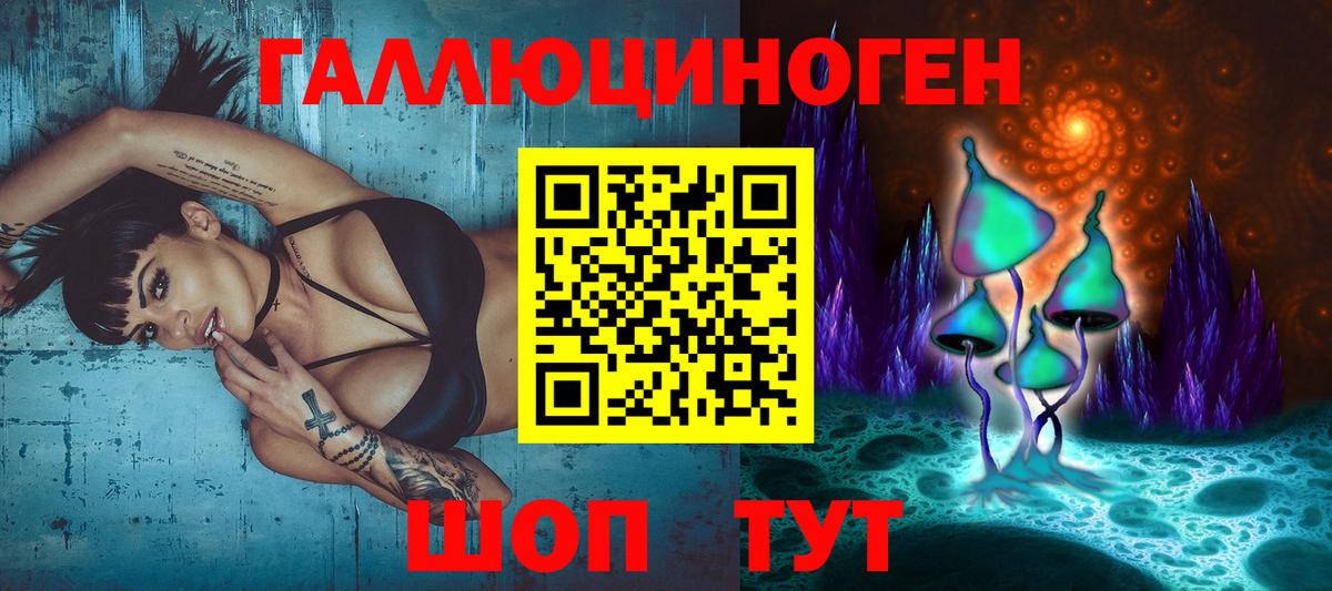 Ирбит  Псилоцибиновые грибы Cubensis  Вход с VPN 